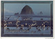 OREGON COAST -  Panorama, Heystacks, Seagulls - American Roadside