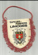 POMPIERS . 87 . LIMOGES  . PETIT FANION ET BLASON BIS FACE DE SAPEURS POMPIERS DE LIMOGES - Pompiers