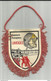 POMPIERS . 87 . LIMOGES  . PETIT FANION ET BLASON BIS FACE DE SAPEURS POMPIERS DE LIMOGES - Pompiers