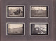 Delcampe - Belfort Dannemarie Superbe Album Photos Guerre 14-18 WW1 Caserne Quartier Vauban Automobile Pompier Avion Soldat Armée - Album & Collezioni