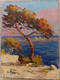 Petit Tableau Ancien  / Huile Sur Carton .Paysage Méditerranée - Oils