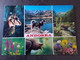 ANDORRE N° 434 TOUR DE FRANCE SUR CARTE POSTALE - Storia Postale