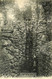 035 583 - CPA - Belgique - Renaix - Bois-Joly - La Fontaine - Ronse