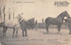 27-VERNEUIL- NOS BONS PERCHERONS - Verneuil-sur-Avre