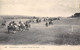 14-DEAUVILLE- LE POLO, L’ARRIVÉE DES PONEYS - Deauville