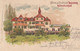 Suisse - Hôtel - Rüschukon  - Hôtel Pension Belvoir - Circulée 11/10/1906 - Litho - Sion