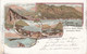 Litho 1898 - Lago Di Garda, Riva, Gruss Vom Garda See, Hotel Musch, Deutsches Haus, Verona, Italia - Verona