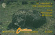 St.Vincent & Grenadinen - STV-7B - Carib Petroglyph - 7CSVB - St. Vincent & The Grenadines