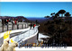 (5 A 11) Australia - NSW - Blue Mountains UNESCO - Andere & Zonder Classificatie