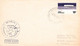 Delcampe - ARCTIC/ANTARCTIC - SMALL COLLECTION COVERS, FDC / QG 106 - Other & Unclassified