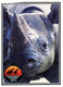 (RR 13) Australia - NSW - Dubbo Western Plain Zoo Rhinoceros + Rhino Survival Sticker (2 Items) - Neushoorn