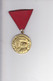 YUGOSLAVIA  --  YU ARMY  --  ORDEN, MEDAL  --  1941 - 1951  --  DESETO GODISNJICA JUGOSLOVENSKE ARMIJE - Andere & Zonder Classificatie