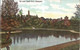 COLCHESTER, The Lake, Castle Park (HGRC) 1905 Used - Colchester