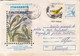 Delcampe - 99156- SPARROWS, LITTLE BIRDS, ANIMALS, COVER STATIONERY, 5X, 1995-1996, ROMANIA - Mussen