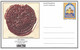 Liechtenstein Entier Postal Ganzsache Carte Postale Postkarte CP88 Et 89 50 Et 70Rp. Neuves 1992 LIBA Balzers - Entiers Postaux