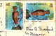 (5 A 21) Turks & Caicos Islands - Older Postcard - Posted To Australia (fish Stamps) - Turcas Y Caicos (Islas)