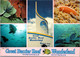 (5 A 24) Australia - QLD - Great Barrier Reef (UNESCO) - Great Barrier Reef