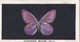 8 Common Blue - British Butterflies 1926 -  Phillips Cigarette Card - Original - Phillips / BDV