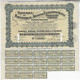 Belgium 1940s Shareholding Tammeries De Saventhem - Anciens Etablissements François Coppin 18 Coupons Size 17x28 Cm - S - V