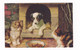 Ravissante CPA Illustrée Chats Chien Dans Sa Niche Série 503 Photo Chrom - Chiens