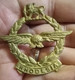 Rhodesian Air Force RhAF Cap Badge WW2 Era DIE-STRUCK Original GENUINE & Scarce.Gomaa - Militaria