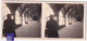 Fontevrault / Abbaye Le Cloître 1954 Photo Stéréoscopique 12,8x5,8cm Maine Et Loire 49 Fontevraud A59-29 - Photos Stéréoscopiques