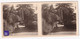 Parc De Vichy / 03 Allier Photo Stéréoscopique 1940s 12,8x5,8cm Jardin Public Au Bord De L'Allier A59-44 - Photos Stéréoscopiques
