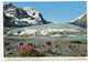 AK 03757 CANADA - Alberta - Jasper National Park - Athabasca Glacier - Jasper