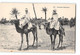 Delcampe - Lot De 110 Cpa Afrique Du Nord - Algérie - Maroc - Alger - Constantine - Bone Etc... - 100 - 499 Postcards