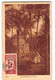 Delcampe - Lot De 110 Cpa Afrique Du Nord - Algérie - Maroc - Alger - Constantine - Bone Etc... - 100 - 499 Postkaarten