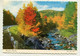 AK 04051 CANADA - Ontario - Travelers Paradise - Moderne Ansichtskarten