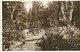 REAL PHOTOGRAPHIC POSTCARD - RUSTIC BRIDGE - ROUKEN GLEN - WITH GOOD THORNLIEBANK POSTMARK - Renfrewshire