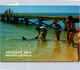 (6 A 4) Australia - WA - Monkey Mia (posted 1987 With Stamp = Not Perfect) Dolphin - Andere & Zonder Classificatie