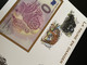 Euro Souvenir Banknote Cover France 2021 Europa CEPT Faune En Danger Fauna Strasbourg Banknotenbrief - 2010-2019