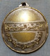 Saudi Arabia .. Very Rare Medal Of The Zip Code .. Darfa - Professionals / Firms