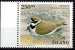 PIA - ISLANDE - 2001 - Faune : Oiseaux   - (Yv 924-25) - Unused Stamps