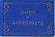 Dépliant Touristique: Souvenir De Luxembourg - Carnet De 12 Photos En Accordéon Avec Légende - Format CPA - Reiseprospekte