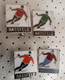 Skiers Ski Center NASSFELD  Skiing Ski Resort Vintage AUSTRIA Enamel Pins - Sport Invernali