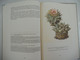 Delcampe - Artis Album Cactussen Met Alle Prenten - Uitgave 1954 VOLLEDIG!! Bloemen Nut Naalden Vruchten Zaden - Artis Historia