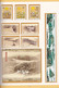 Delcampe - Chine Année Complète 2004 ** -Timbres - Blocs - 24 Photos - Voir Descriptif - - Full Years