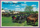 KITCHENER-WATERLOO - ONTARIO - Mennonite Meeting House And Buggies Behind Martin's Old Order - Kitchener