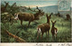 Delcampe - Lot 9 Cartes Postales CPA AAK Deer Fawn Cerf Hert Hirsch Cervo Veado Ciervo La Chasse Hunting Jacht - Chasse