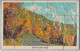 Mail-a-PUZZLE POST CARD - Autumn Road Scene - Unclassified
