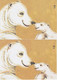 China 2021 Help Earth And Help Animal - Polar Bear ATM  Stamp   Commemorative Cards 2V - Bears