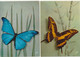 Delcampe - Papillons - ( 20 CP ) - Papillons