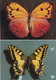Delcampe - Papillons - ( 20 CP ) - Papillons