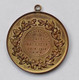 Ancienne Medaille Old Medal 1913 Paardenprijskamp Comice Nazareth Oost-Vlaanderen Jaarmarkt Paard Cheval Horse Pferd - Otros & Sin Clasificación