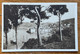 PORTO S.STEFANO - PANORAMA DALLA VILLAMARINA -. Annullo : PORTO S,STEFANO *GROSSETO* 19/4/31 - BPF99 - Grosseto