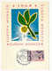 MONACO => 2 Cartes Maximum => Europa 1965 - 25/9/1965 - Maximumkarten (MC)