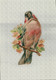 CHROMO DECOUPIS   OISEAU SUR E BRANCHE FLEURS PRINTANIERES- 2021 Oct 81 - Animali